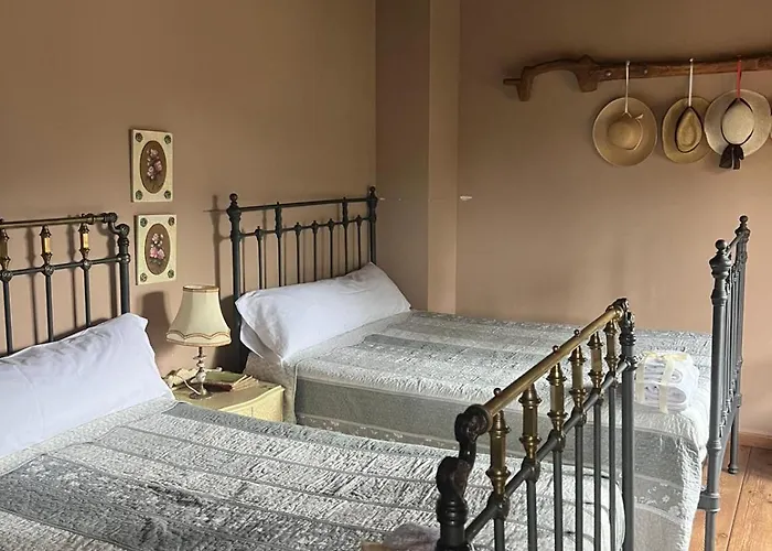 Dorinda * Campelo (A Coruna)